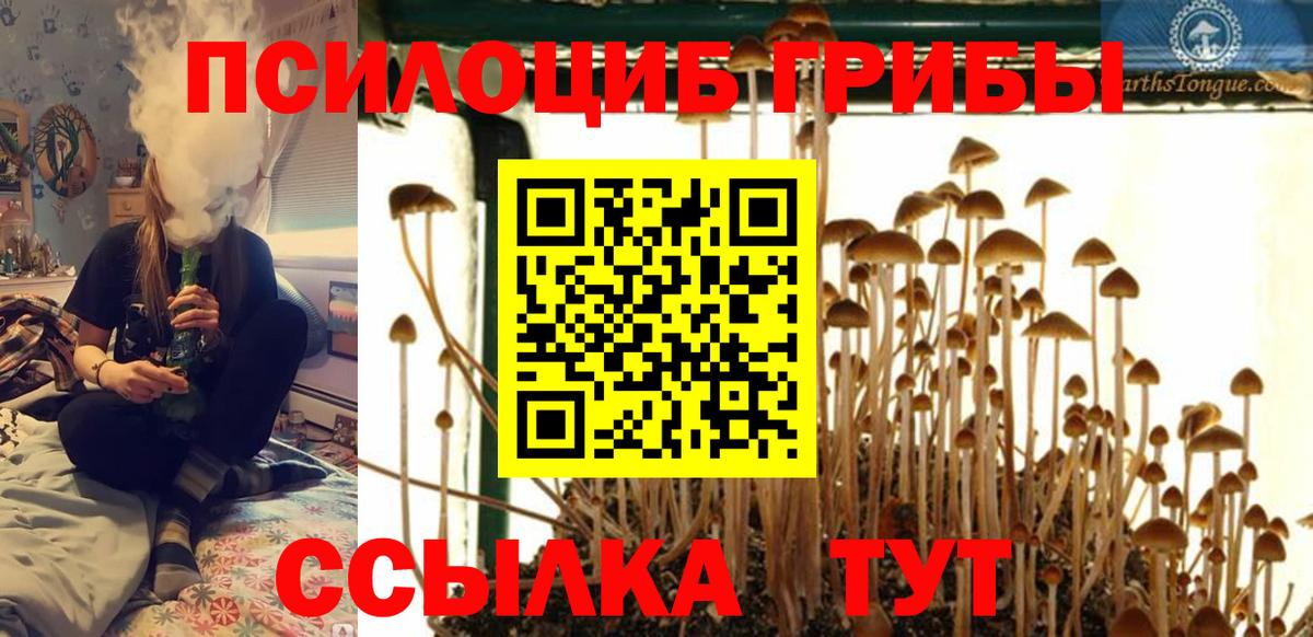 Псилоцибиновые грибы мицелий Канск